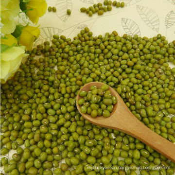 Polished grade Green mung beans for sale above 3.5mm